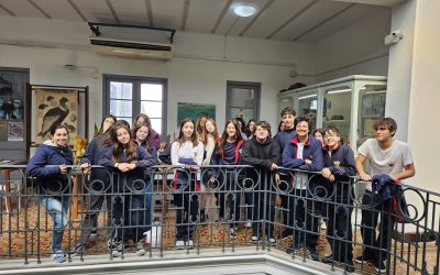 Visita al Museo de Historia Natural Torres de la Llosa