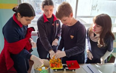 De la huerta al plato